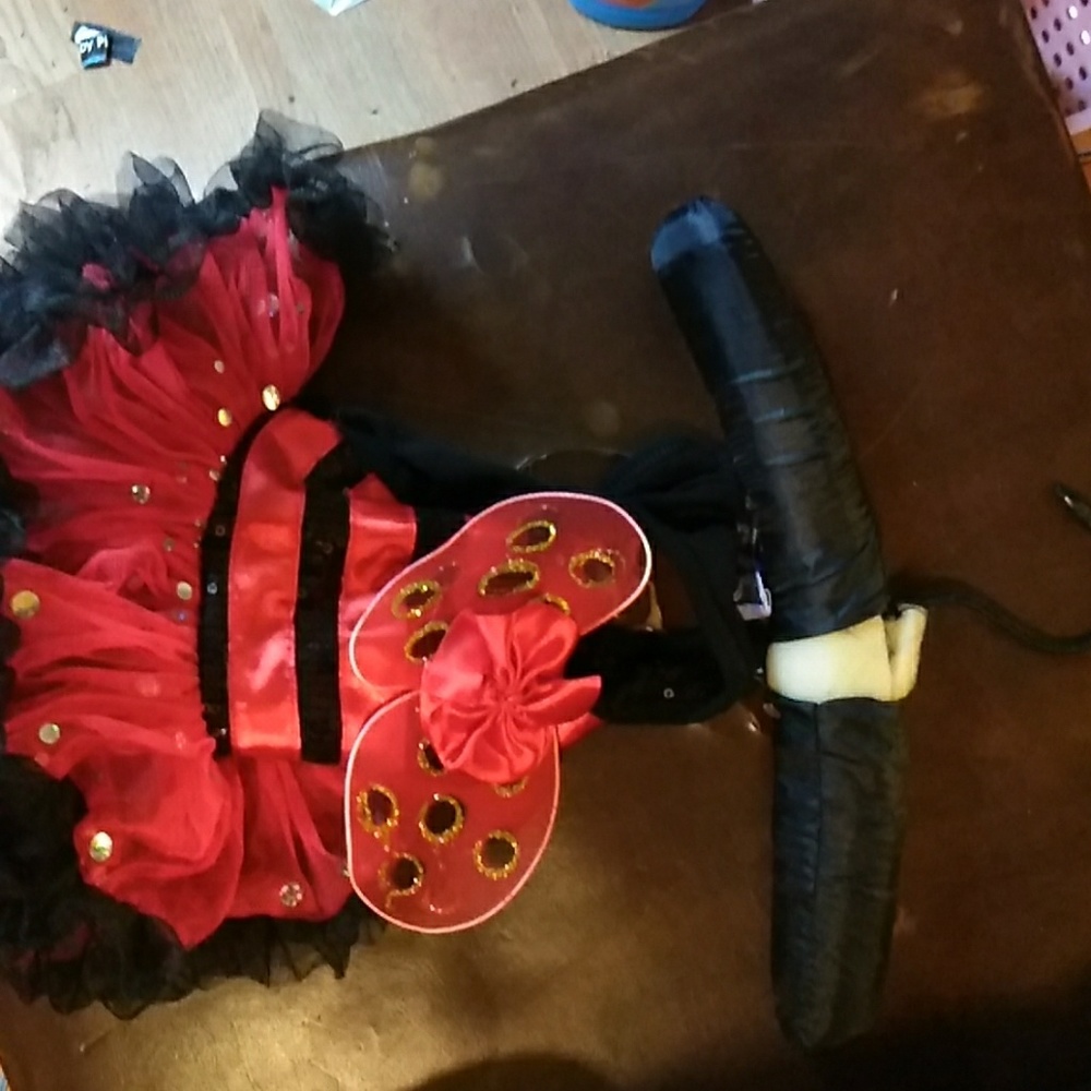 Pawpatu dog dress.
